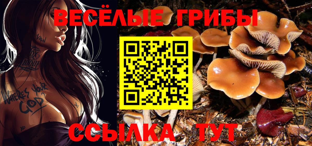 Галлюциногенные грибы мухоморы Красноуфимск